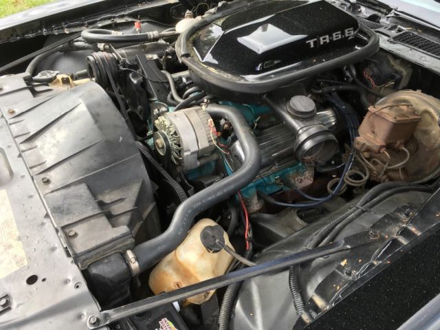 1980 Pontiac Trans Am - photo 12