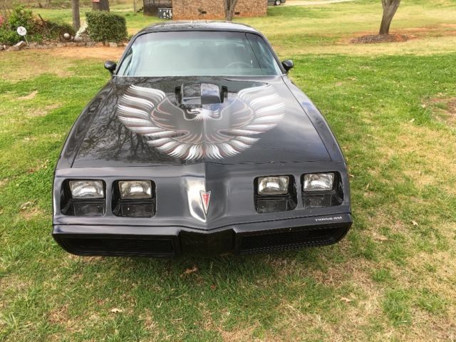 1980 Pontiac Trans Am - photo 2