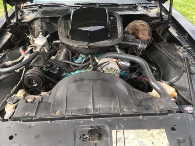 1980 Pontiac Trans Am - photo 9