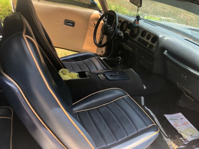 1980 Pontiac Trans Am - photo 4