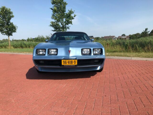 1981 Pontiac Trans Am - photo 2