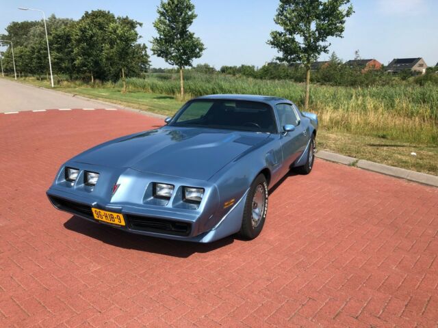 1981 Pontiac Trans Am - photo 3