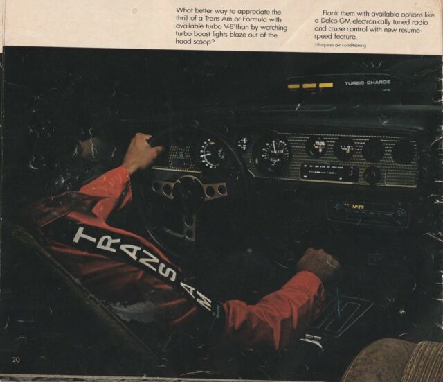 1981 Pontiac Trans Am - photo 9