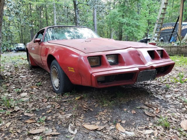 Pontiac trans am 2nd gen 1981 1981 Pontiac Trans Am
