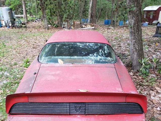 1981 Pontiac Trans Am - photo 5