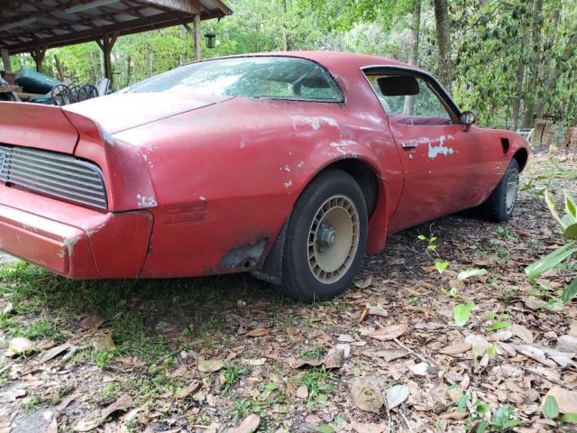1981 Pontiac Trans Am - photo 7