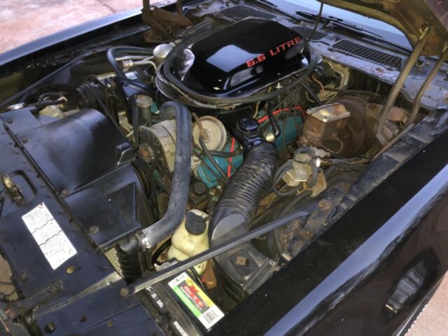 1979 Pontiac Trans Am - photo 6