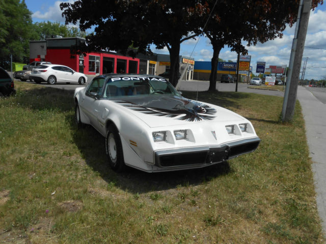 pontiac trans am firebird superb condition rus free numbers matching 1980 Pontiac Trans Am pace car