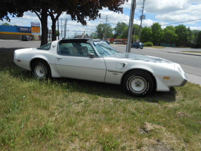 1980 Pontiac Trans Am pace car - photo 2