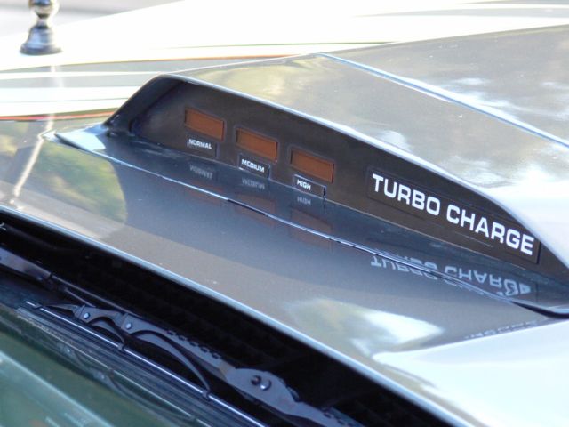 1980 Pontiac Trans Am - photo 12