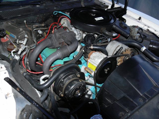 1980 Pontiac Trans Am - photo 5