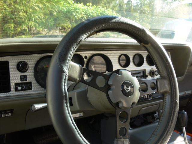 1980 Pontiac Trans Am - photo 6