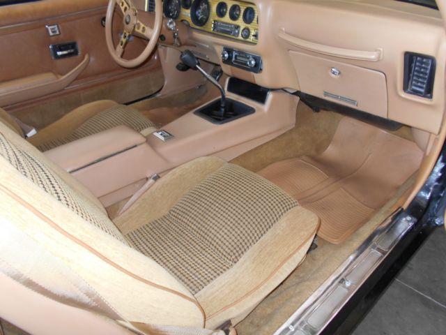 1979 Pontiac Trans Am Real SE Bandit 4 Spd - photo 13