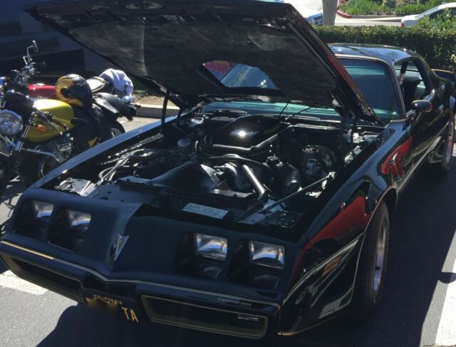 1979 Pontiac Trans Am Y84 Special Edition - photo 13