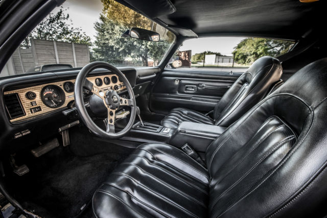 1976 Pontiac Trans Am - photo 10