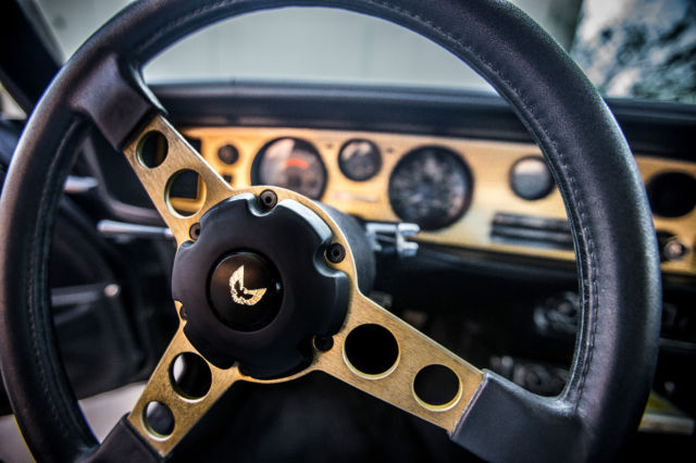 1976 Pontiac Trans Am - photo 12