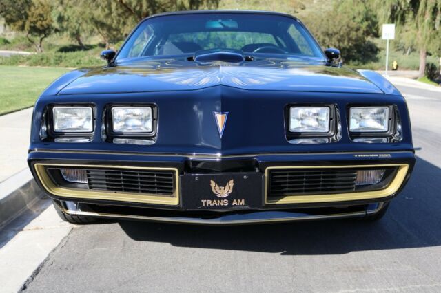 1979 Pontiac Trans Am Y84 Special Edition - photo 3
