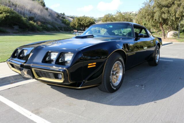1979 Pontiac Trans Am Y84 Special Edition - photo 4