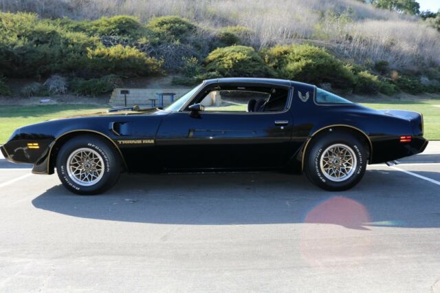 1979 Pontiac Trans Am Y84 Special Edition - photo 5