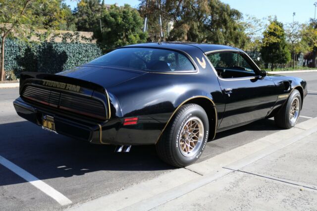 1979 Pontiac Trans Am Y84 Special Edition - photo 8