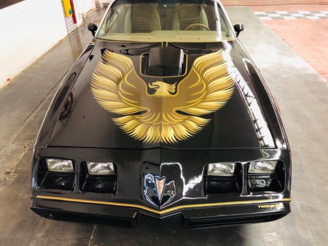 1979 Pontiac Trans Am - T TOPS WITH 5 SPEED-AFFORDABLE CLASSIC - photo 7