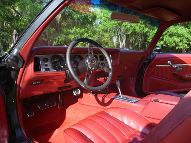 1976 Pontiac Trans Am Trans Am - photo 12