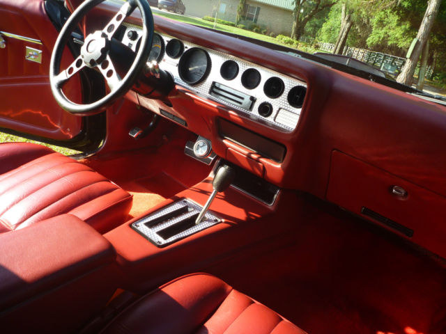 1976 Pontiac Trans Am Trans Am - photo 13
