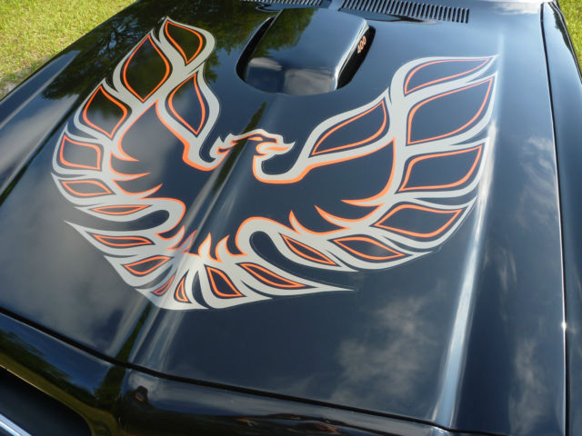 1976 Pontiac Trans Am Trans Am - photo 2