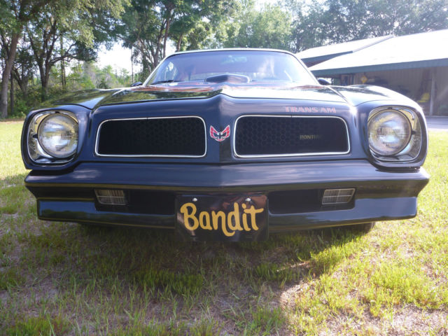 1976 Pontiac Trans Am Trans Am - photo 5