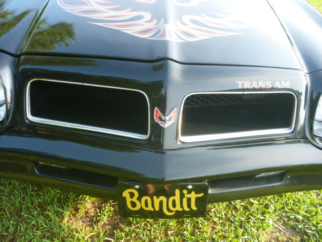 1976 Pontiac Trans Am Trans Am - photo 6