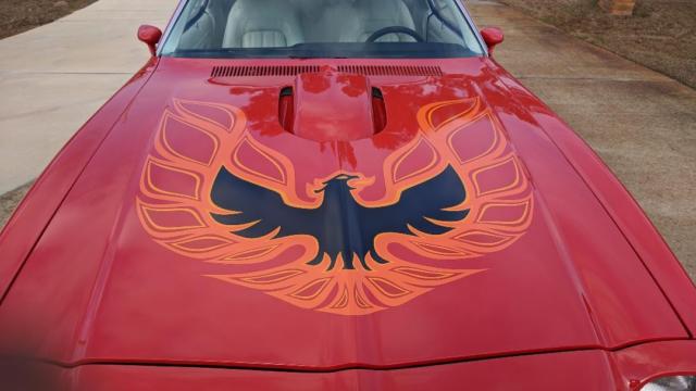 1973 Pontiac Firebird Esprit - photo 8