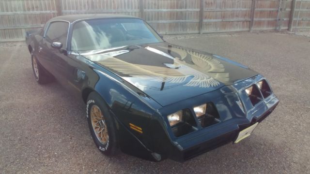 1980 Pontiac Trans Am - photo 10