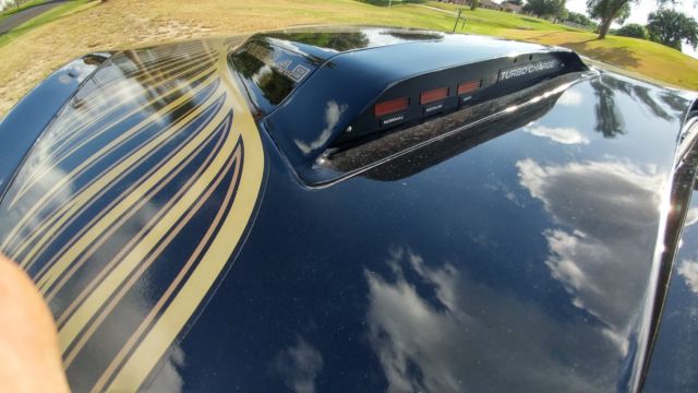 1980 Pontiac Trans Am - photo 12