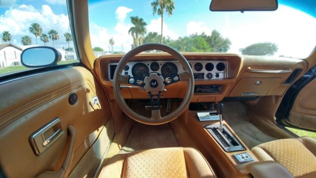 1980 Pontiac Trans Am - photo 13