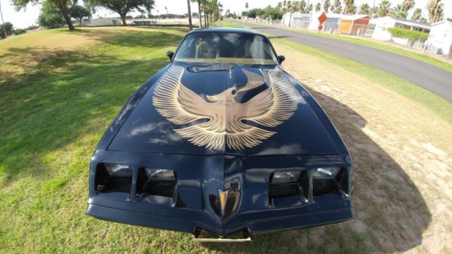 1980 Pontiac Trans Am - photo 2