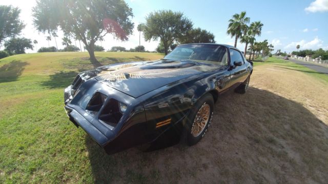 1980 Pontiac Trans Am - photo 3