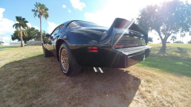 1980 Pontiac Trans Am - photo 6