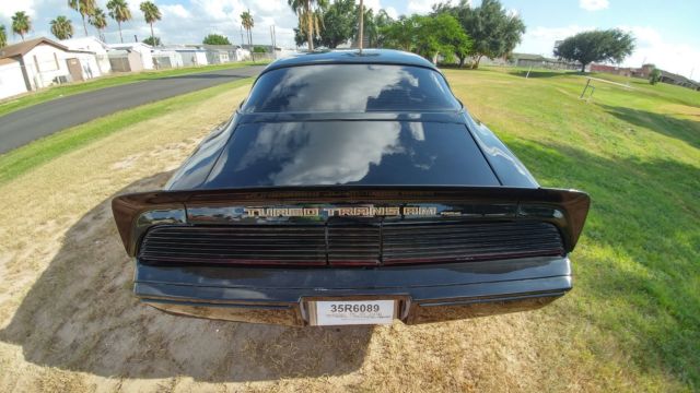1980 Pontiac Trans Am - photo 8