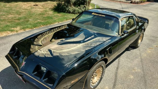 1981 Pontiac Trans Am Firebird
