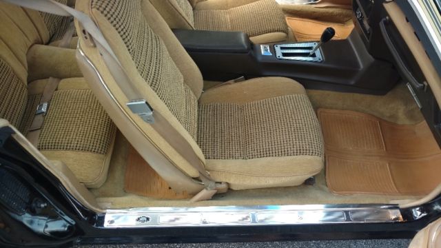 1981 Pontiac Trans Am Firebird - photo 13