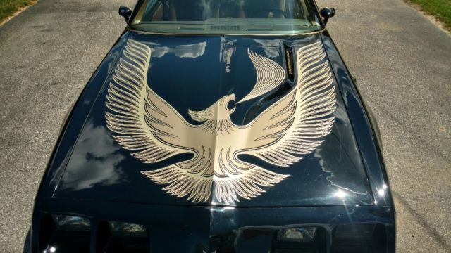 1981 Pontiac Trans Am Firebird - photo 3