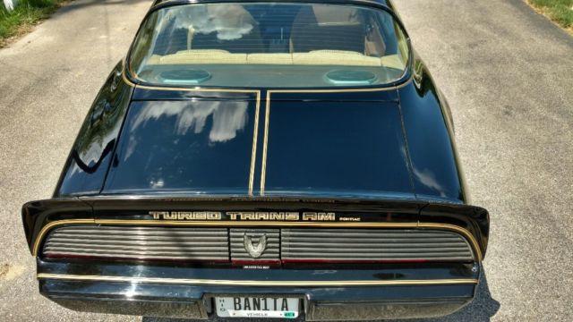 1981 Pontiac Trans Am Firebird - photo 7