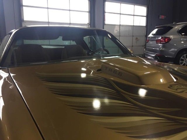 1979 Pontiac Trans Am -- - photo 9