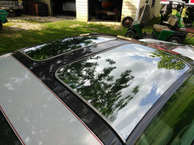 1980 Pontiac Trans Am - photo 3