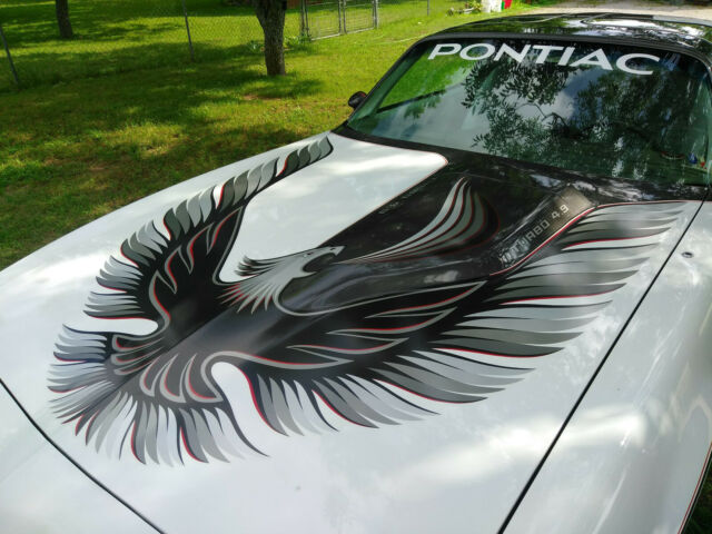 1980 Pontiac Trans Am - photo 5