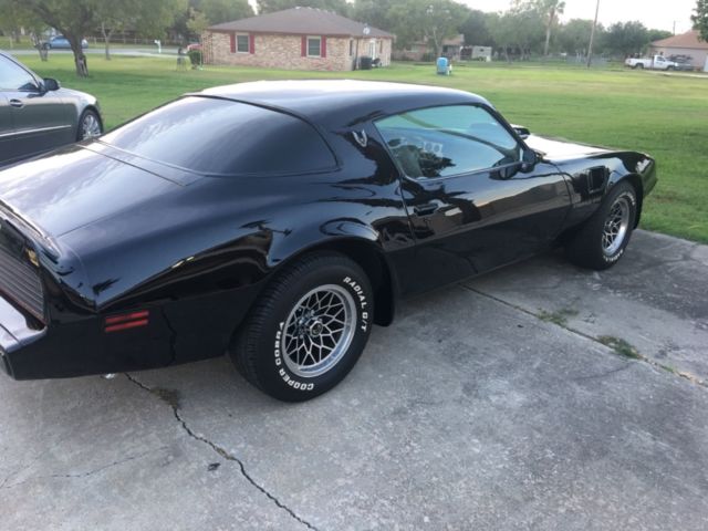1979 Pontiac Firebird - photo 10