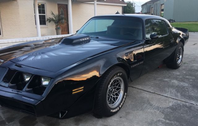 1979 Pontiac Firebird - photo 3