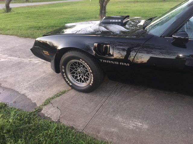 1979 Pontiac Firebird - photo 6