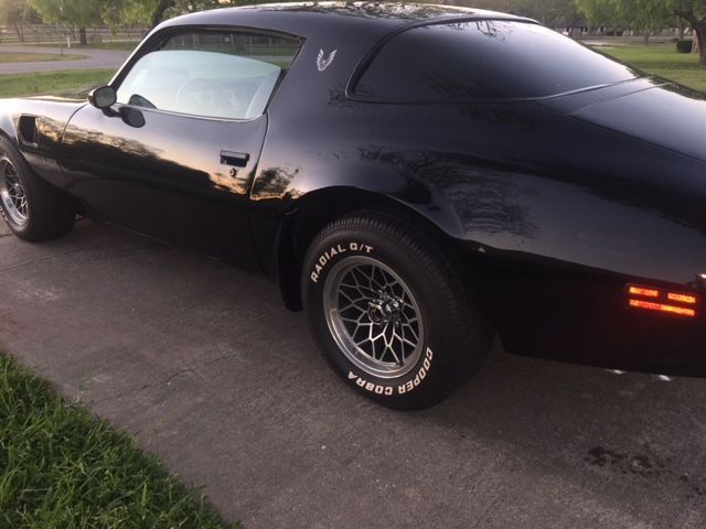 1979 Pontiac Firebird - photo 7