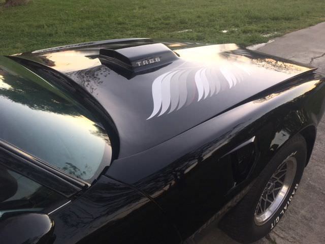 1979 Pontiac Firebird - photo 8